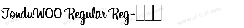 TonduW00 Regular Reg字体转换
